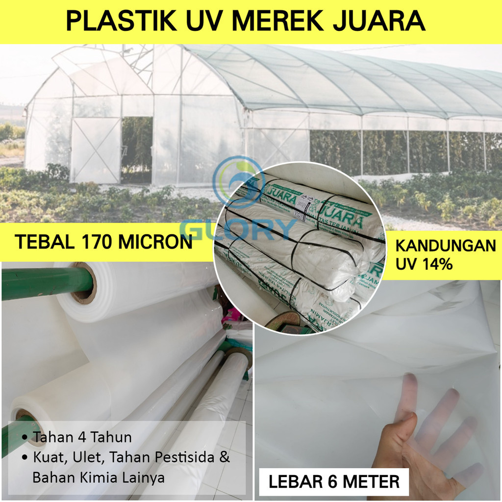 Plastik UV Juara Lebar 6 Meter Plastik Yupi Untuk Atap Green House Hidroponik Uv14% Tebal 170 Micron