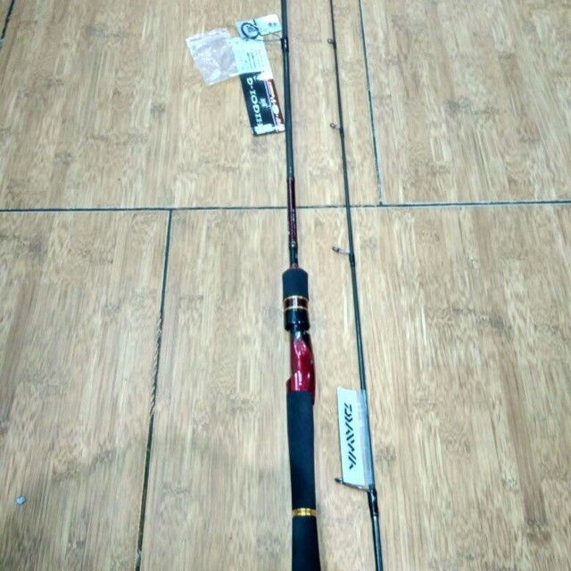 Joran Daiwa higoi 602