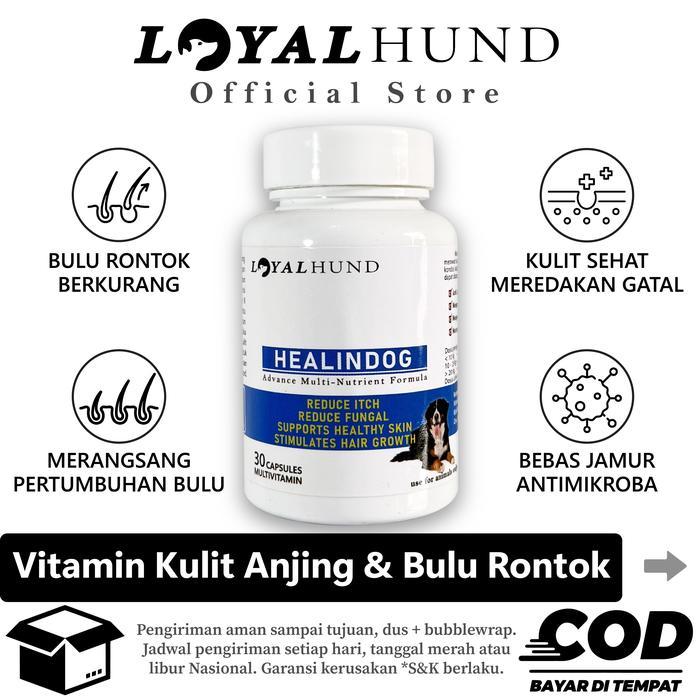 Bird.ID VITAMIN BULU ANJING RONTOK DAN KUSAM OBAT ANJING UNTUK BULU RONTOK DOG