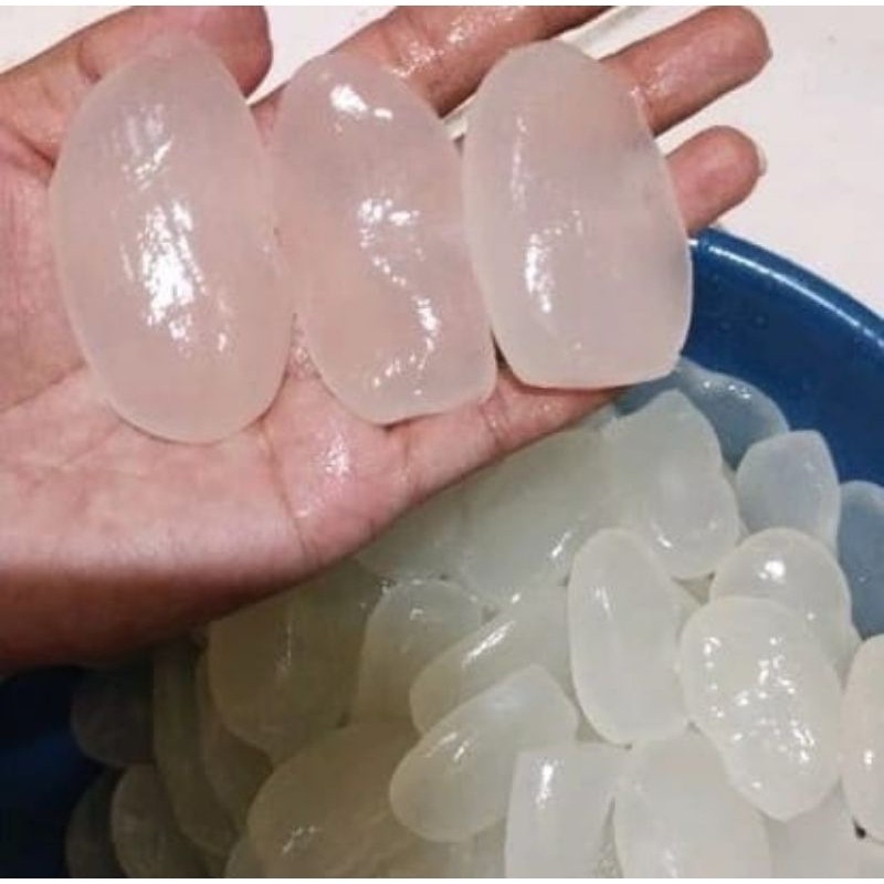 250gram kolang kaling segar kolang kaling medan bahan manisan terbaik