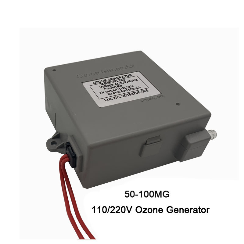 100MG Ozone Water Purifier Ozone Generator Parts Ozone Disinfection For Drinking Water ND-101MG