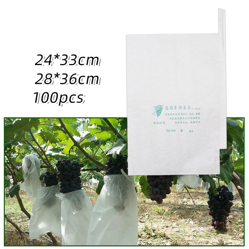 100Pcs Fruit Bag Transparan / Pembungkus Buah Kantong Jaring / Fruit Cover