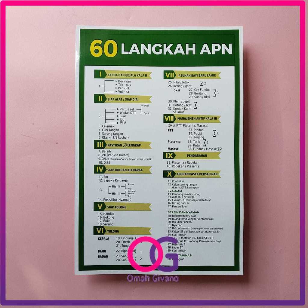 POSTER 60 LANGKAH APN - POSTER APN - POSTER KEBIDANAN - POSTER KESEHATAN