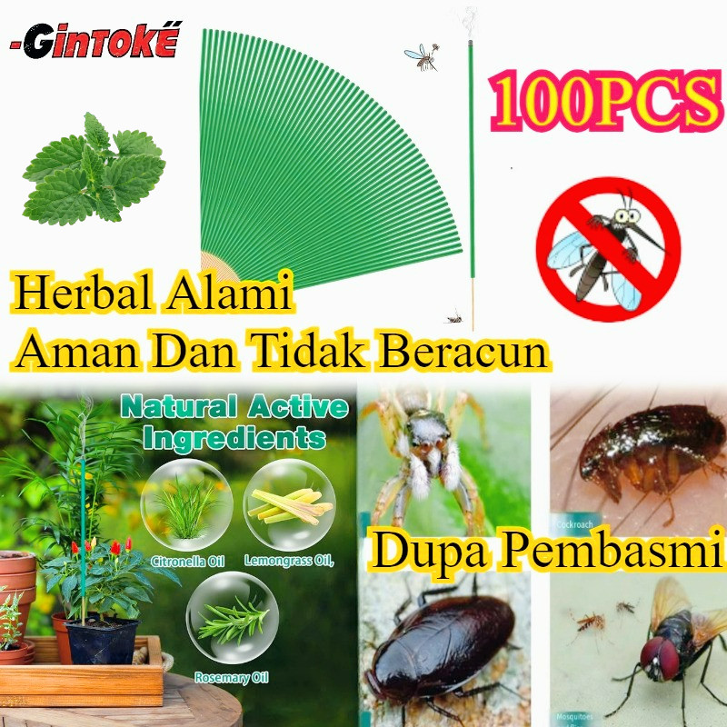 100pcs/Set Obat Nyamuk Dupa Herbal/Dupa Pengusir Lalat/Dupa Pengusir Nyamuk Dan Lalat/Dupa Pembasmi