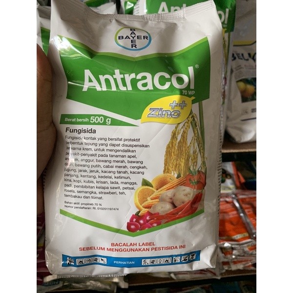 antracol 500gr