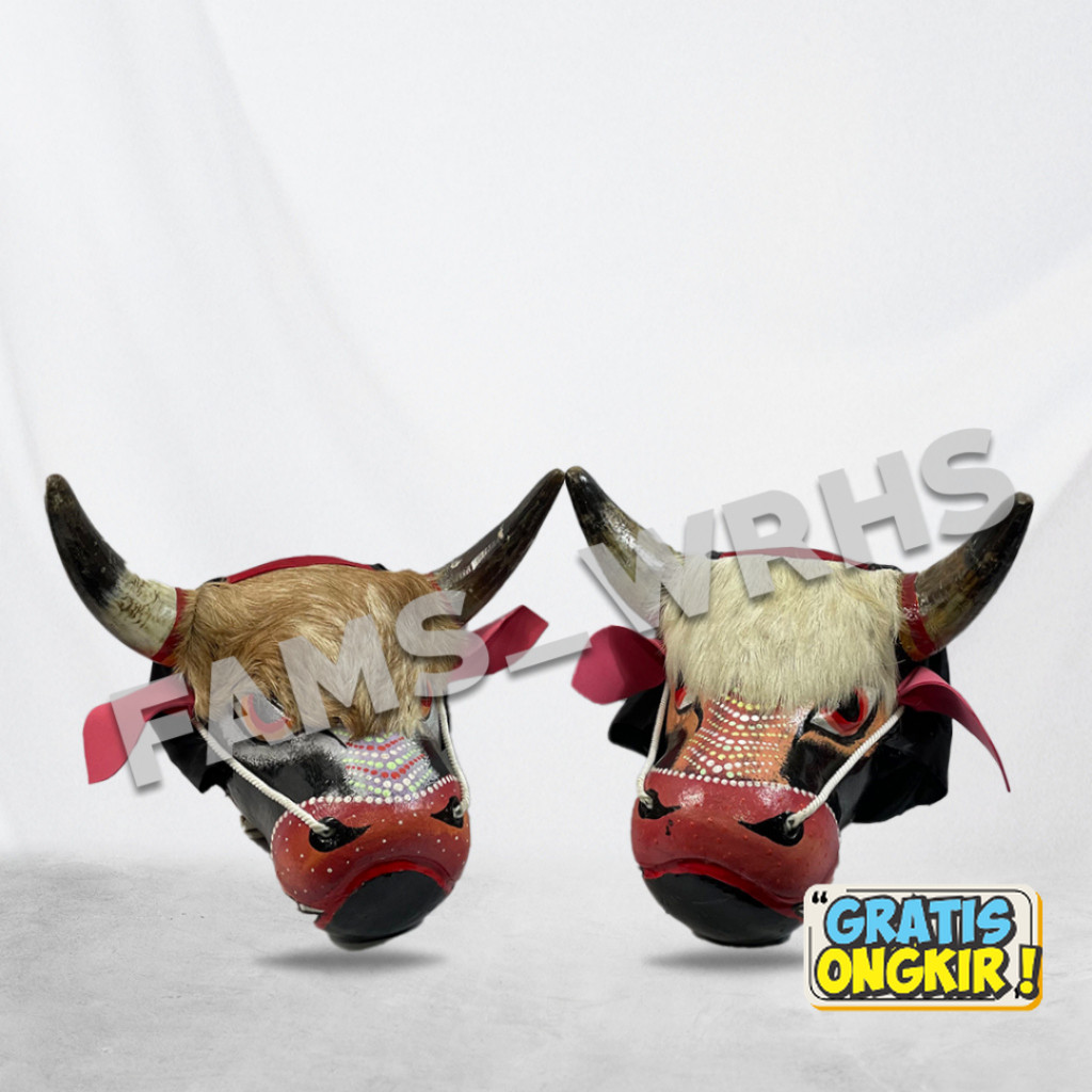 Terbaru  Bantengan Pentas Sungu Asli Dewasa Berkualitas Kokoh Murah Banget