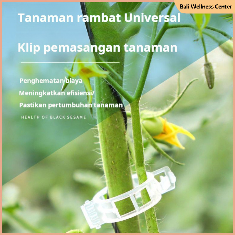 Klip tanaman merambat, penjepit tanaman merambat, klip gantung, klip tanaman hijau, klip pengikat ta
