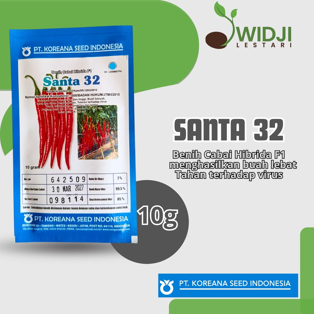 Benih Cabe Besar Santa 32 F1 10gr Original Cabai Hijau
