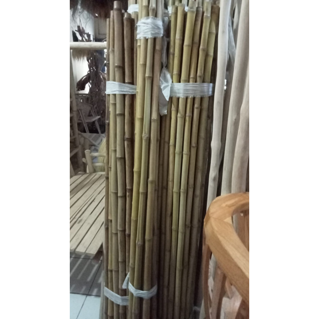 BAMBU POLOS 2 METER DIAMETER BESAR HARGA PERBATANG DEKORASI RUMAH TONGKAT PRAMUKA TERMURAH / Bambu D