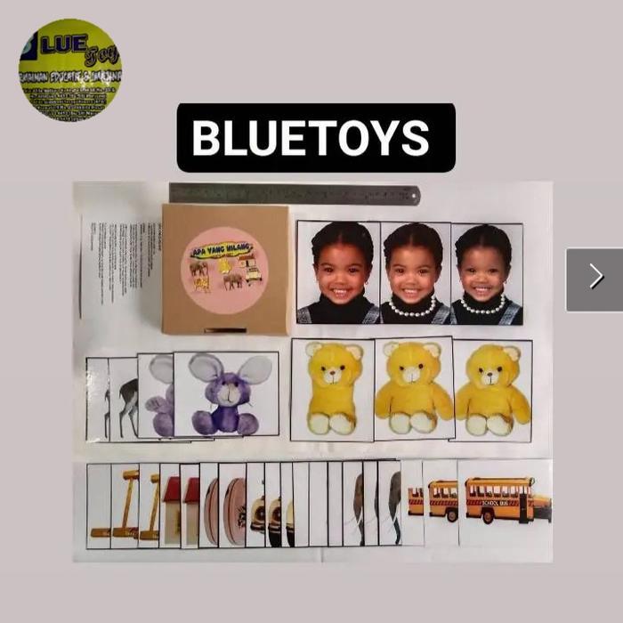 Kartu Flash Cards Terapi Wicara Perilaku Autis Apa Yang Hilang