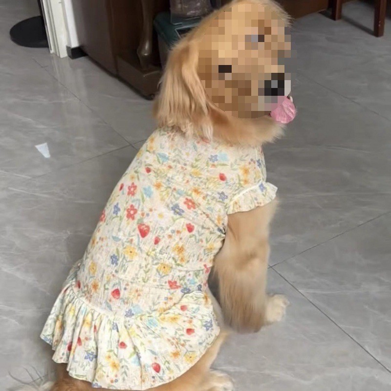 [Pet Wardrobe]Pakaian anjing besar Golden Retriever Samoyed Labrador Alaskan Samoyed yang tipis