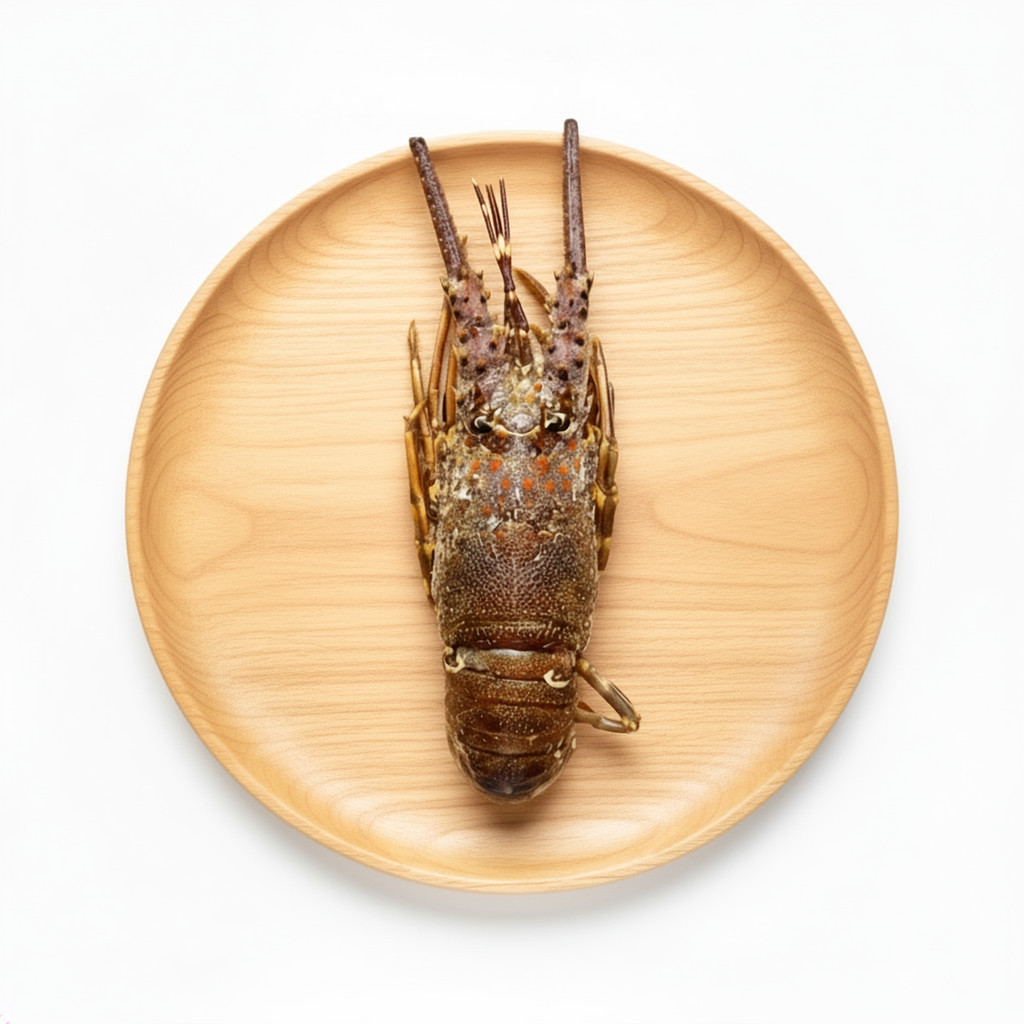 Lobster Laut Beku Frozen Premium 0.9 - 1kg