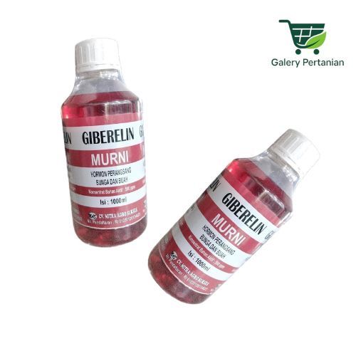 Giberelin Murni Literan Membantu Pembungaan dan Perbesaran Buah Tanaman. Giberelin