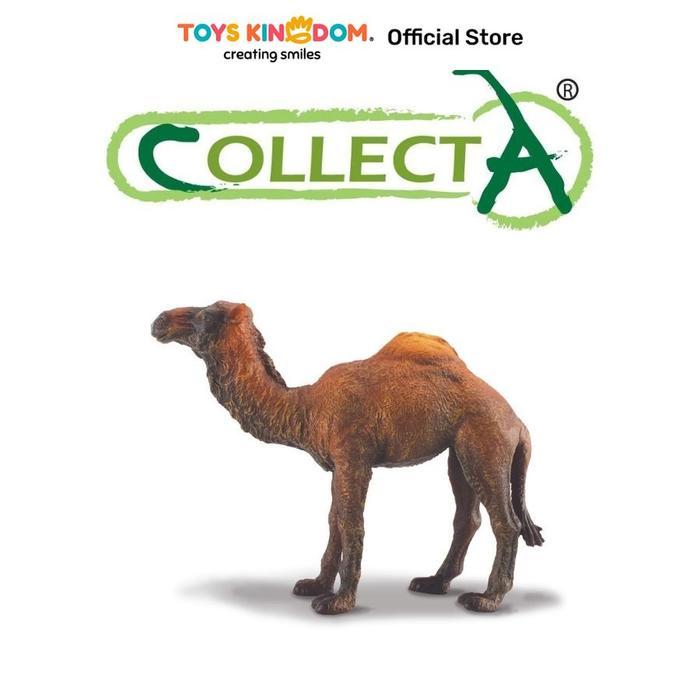 COLLECTA FIGURE DROMEDARY CAMEL 88208