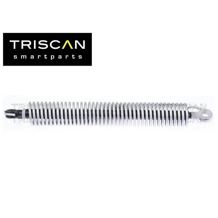 Triscan BMW F10 Return Spring Per Pegas Bagasi - KANAN 51247204367 BEST