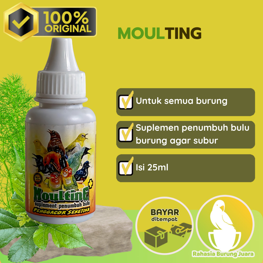 Moulting Penggacor Cepat 25ml Vitamin Mabung Burung Penumbuh Bulu Murai Kacer Lovebird Ekor Burung