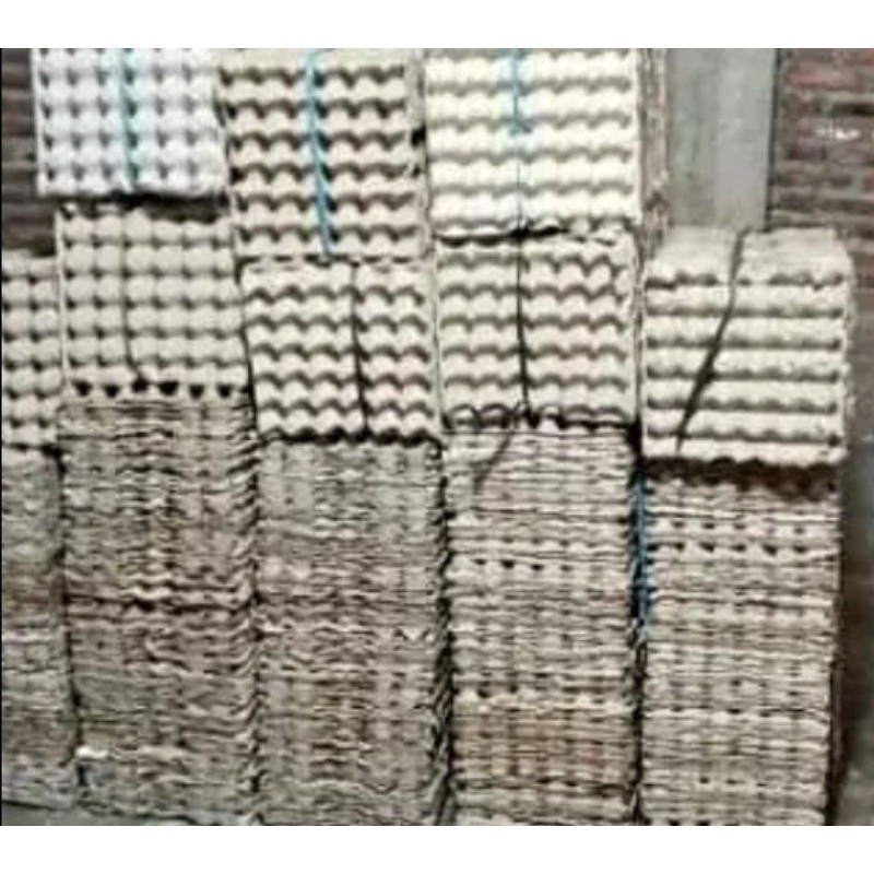 Tray Telur / Egg tray / tempat telur bekas layak pakai isi 10 pcs