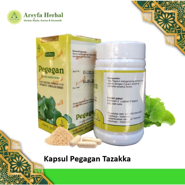 Kapsul pegagan original otak kapsul pegagan herbal kapsul pegagan asli kapsul pegagan otak dan cerda