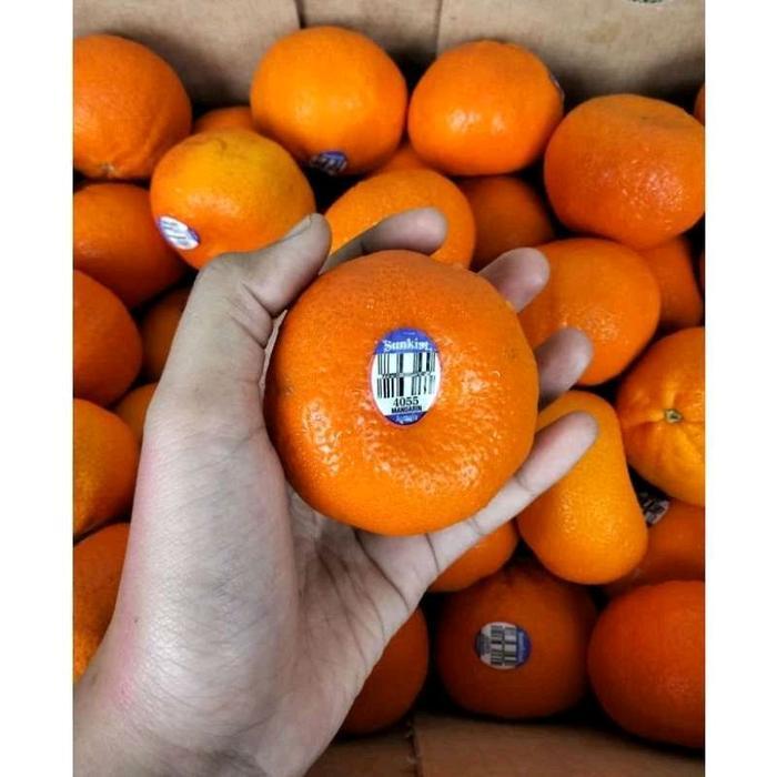 Jeruk mandarin afourer australia seedles 1 kg