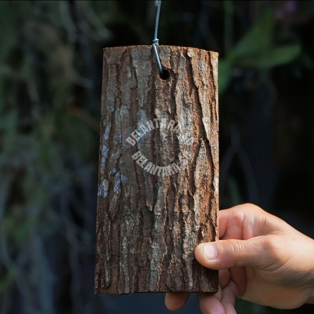 Media tanam anggrek kulit kayu mahoni+Kawat cantolan siap gantung .