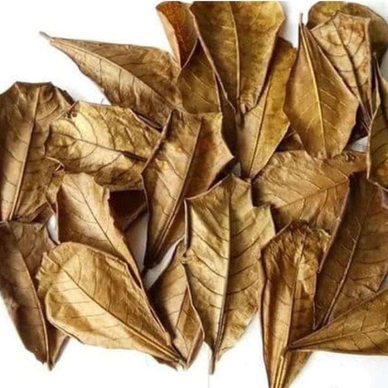 Promo daun gulinggang / gelinggang kering / daun ketepeng kering 100gram/kimanila kering "