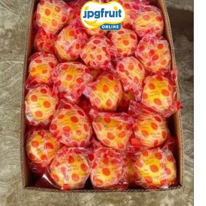 [Instant] JERUK LEMON  IMPORT PER KARTON 14kg Sameday/Buahlokal/Buahimport/Fruit/JPGFruit