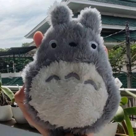 DVN657 Dompet Totoro Pouch Purse Defect
