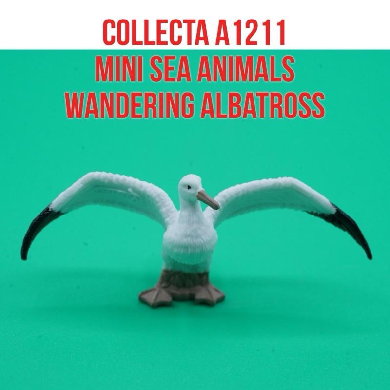 Collecta A1212 Mini Sea Animals | Wandering Albatross Bird Burung Albatros Diomedea exulans | Small 