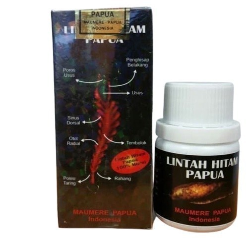 MINYAK LINTAH HITAM PAPUA HOLO3/SEGEL3 60ml kuat dan berkhasiat (37)
