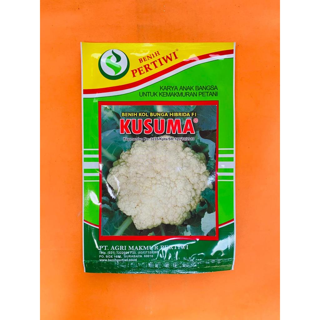 benih bunga kol dataran rendah tahan layu hibrida F1 KUSUMA isi 10gr dari pertiwi