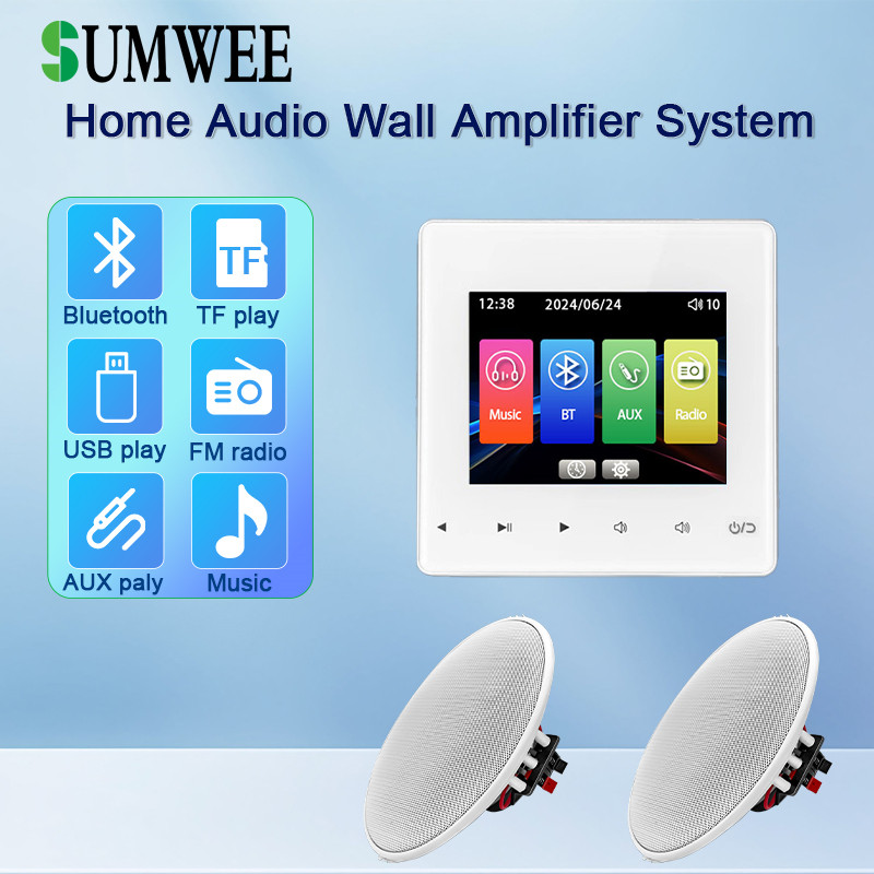 Home theater Background music controller auo system wall power amplifier bluetooths TF AUX sound con