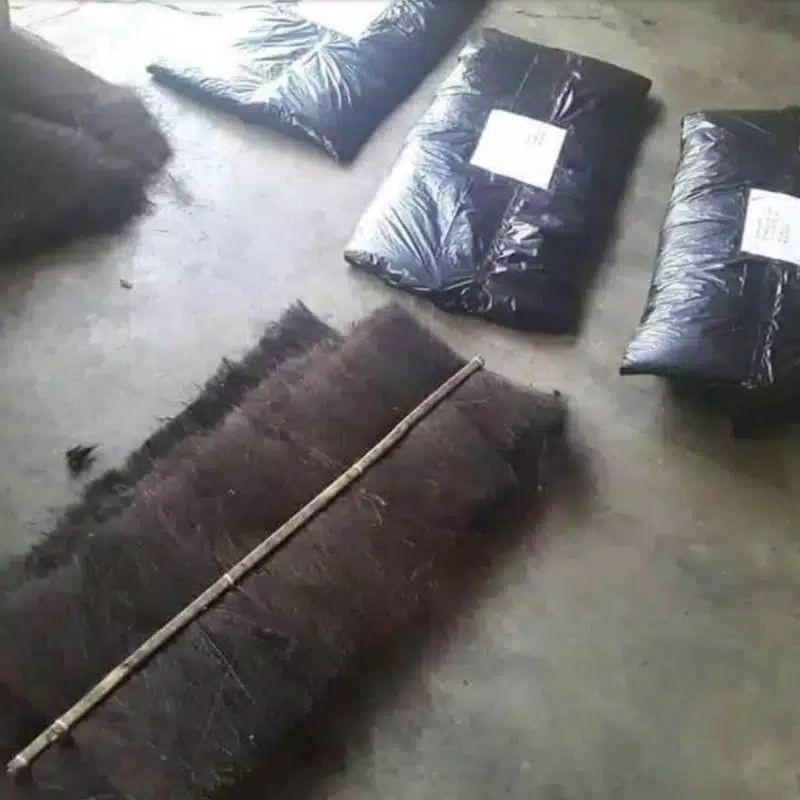 INJUK KAKABAN IKAN BETERNAK TELUR IKAN