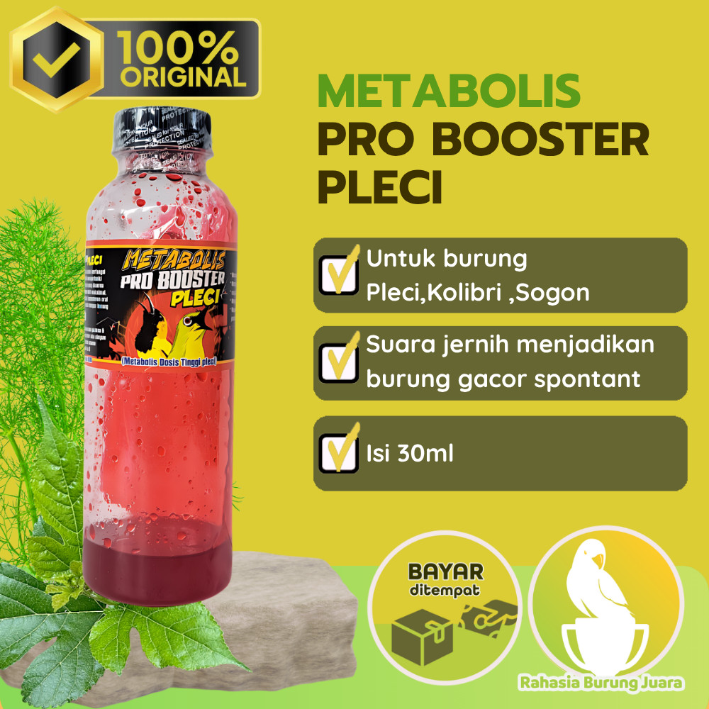 Pro Booster Pleci Juara Metabolis Dosis Tinggi pleci Vitamin Burung Pleci