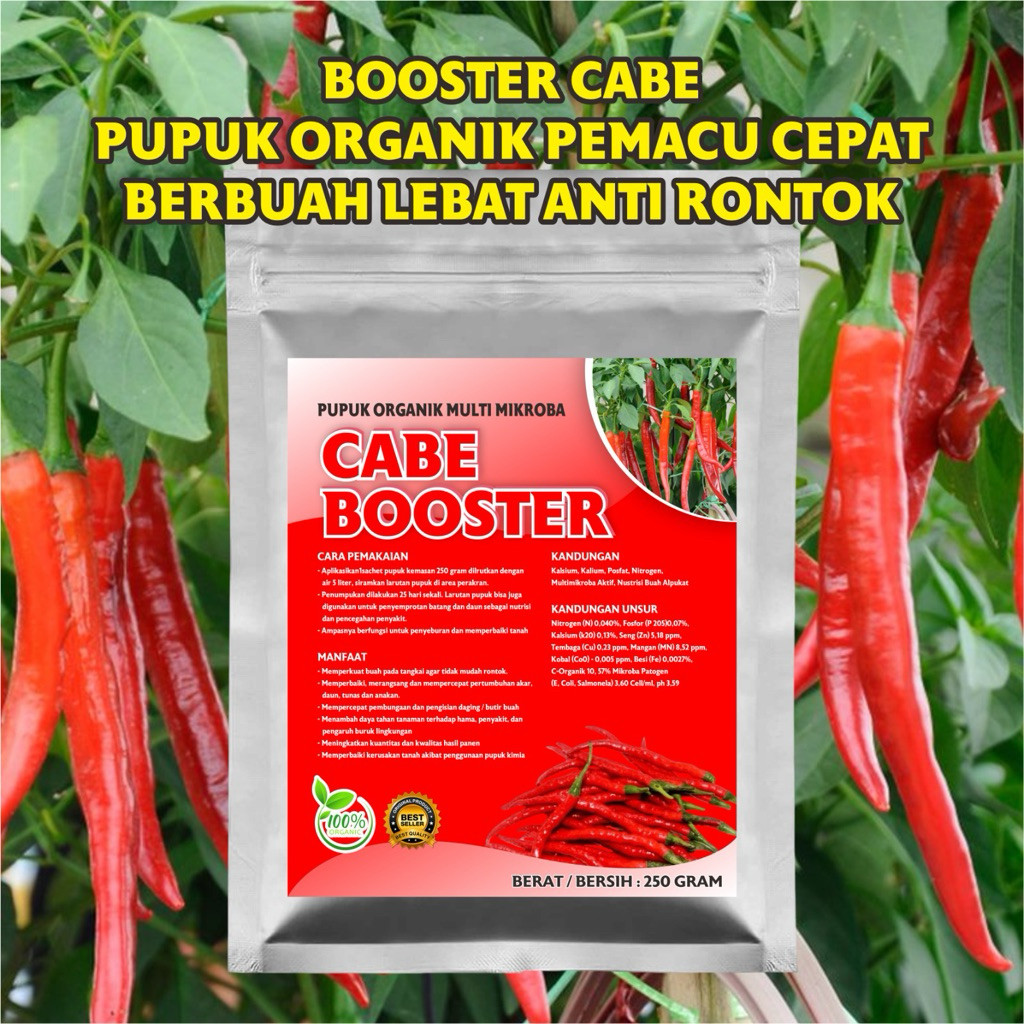 Pupuk Booster Cabe Cepat Berbuah Lebat Pupuk Pelebat Cabe Rawit Pupuk Pelebat Cabe Merah Pupuk Cabe 
