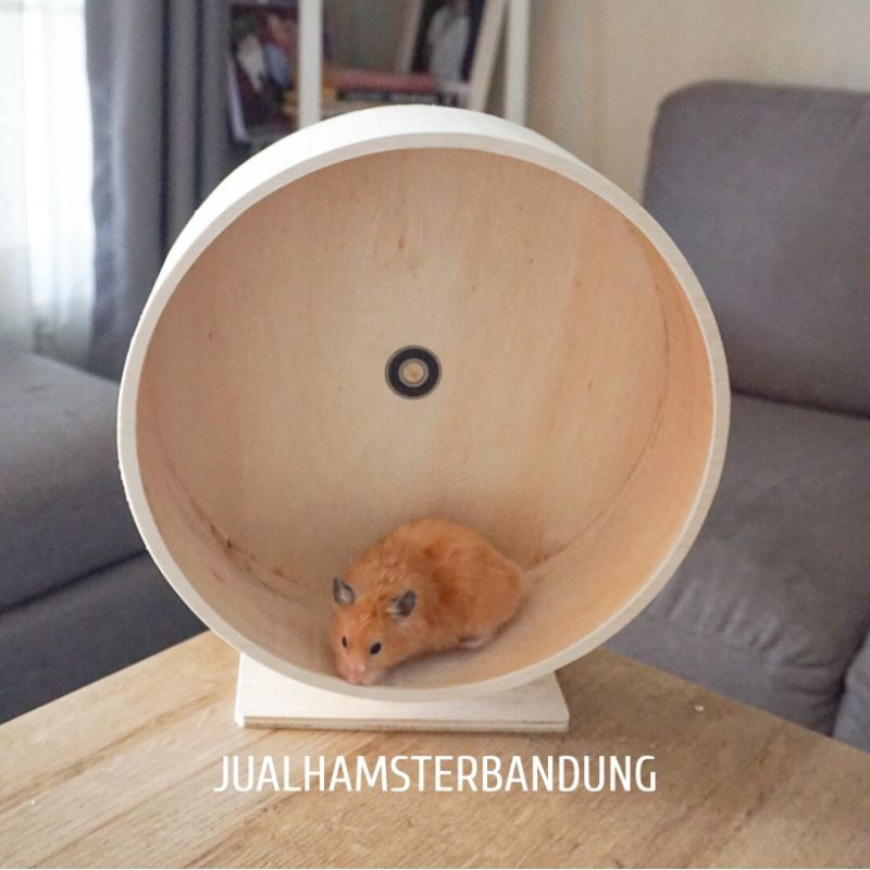 [Tia toys] Kincir Untuk Hamster | Wheel Hamster diameter 30cm | Kincir Hamster 30cm | Kincir Kayu Ha