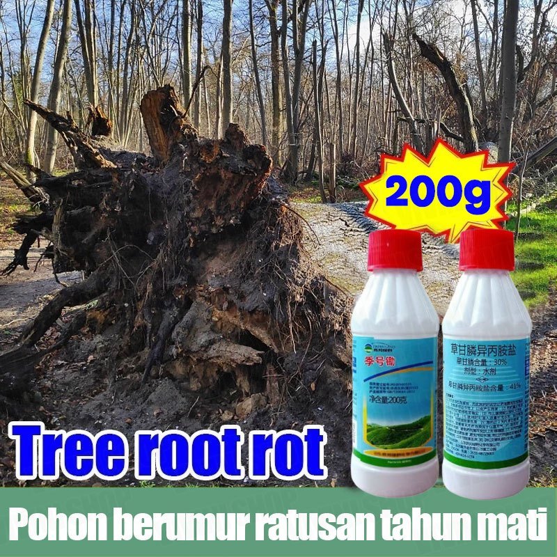 Obat Pembunuh Pohon Besar Racun Pohon Besar Kill Tree Herbisida Biologis Pembasmi Rumput Herbisida P