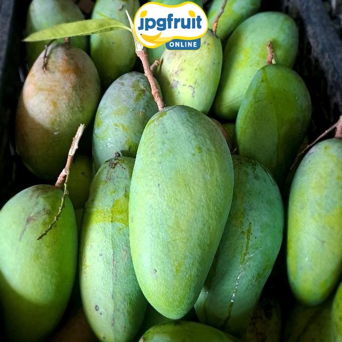 MANGGA KIOJAY THAILAND 1 BUAH FRESH SUPER