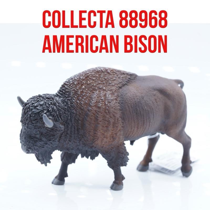 Collecta 88968 | American Bison Buffalo Kerbau Amerika Bovidae  | Mainan Figure Binatang Miniature H