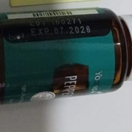 essential oil original pepermint 15ml young living esensial