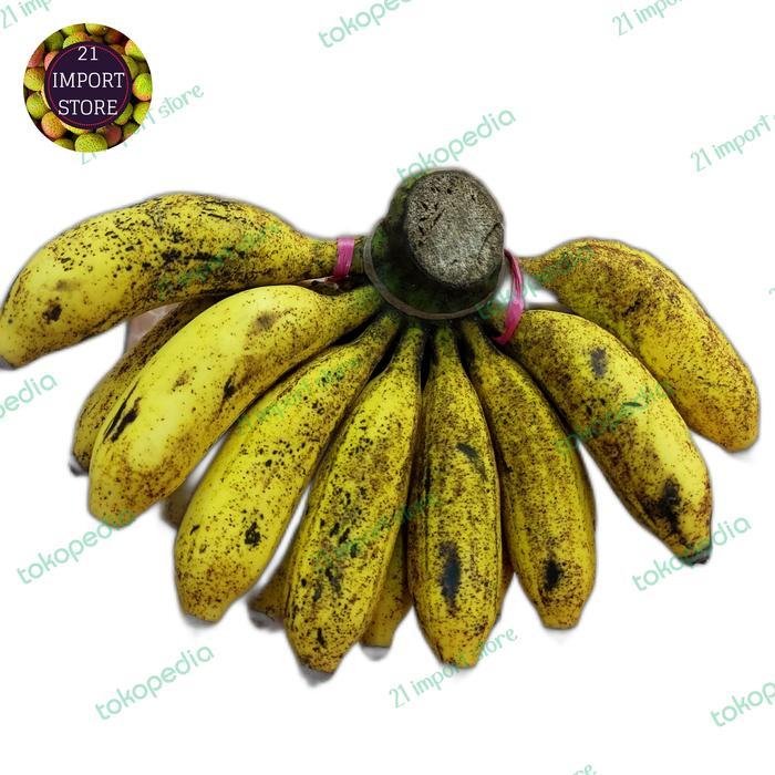 Pisang Raja Sereh | Buah Pisang Raja Susu Asli Sukabumi | 1 sisir