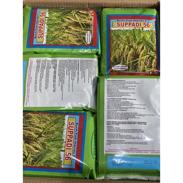 BENIH PADI HIBRIDA SUPPADI 56 exp MEI 2026