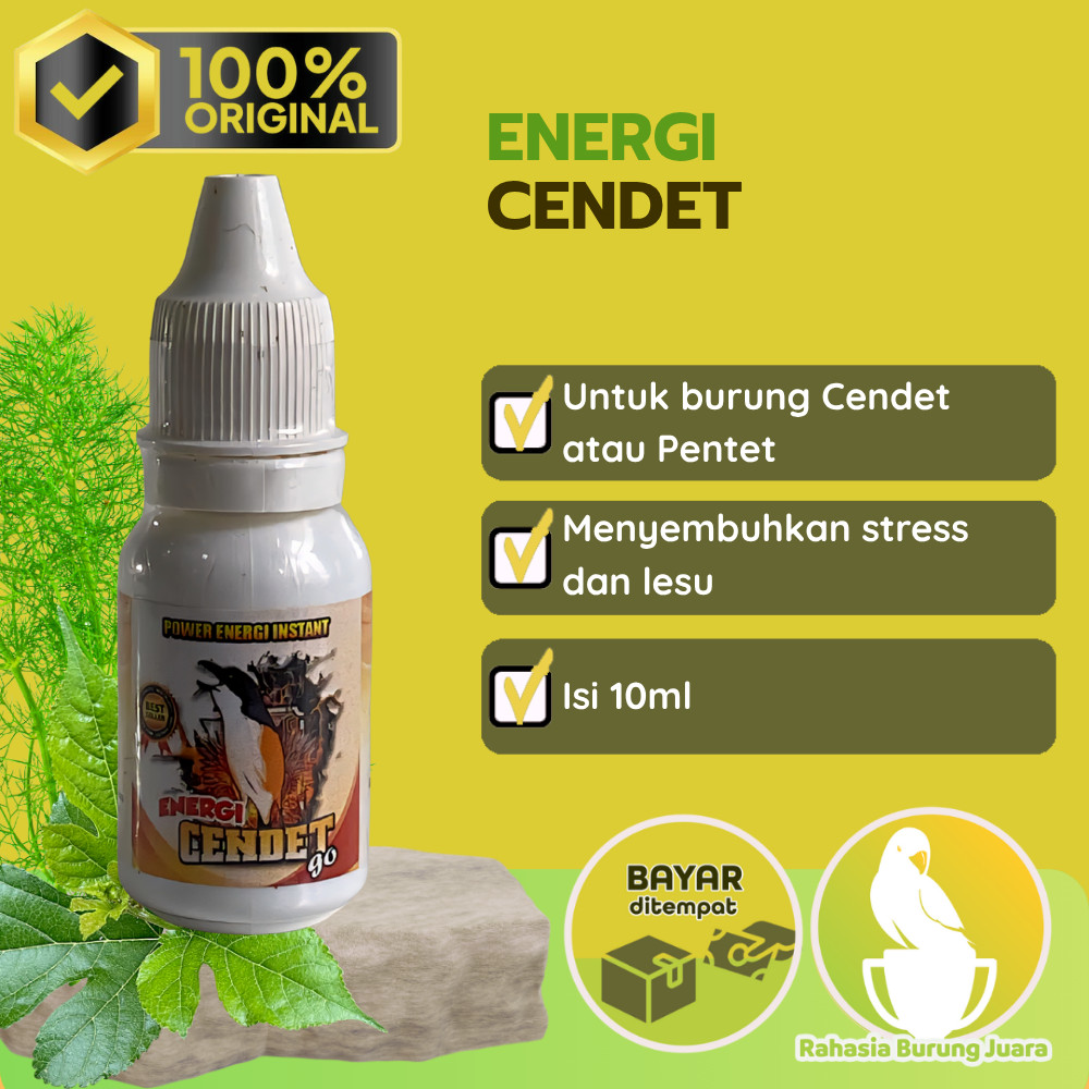 Energi Cendet Go vitamin penggacor burung burung pentet cendet