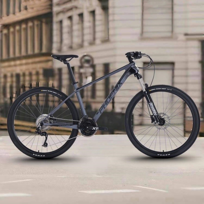 Carbon Fiber MTB Bike 30 speed Mountain Bikes Hydraulic Disc Brake Carbon Frame Aluminum Alloy Oil F