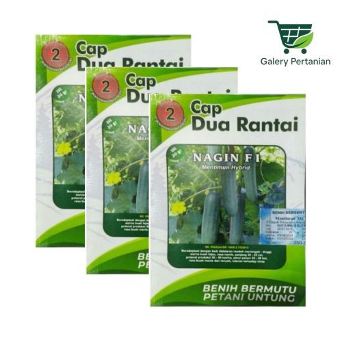 Timun Nagin F1 Timun Hibrida 20gr Original Pabrik Cap Dua Rantai