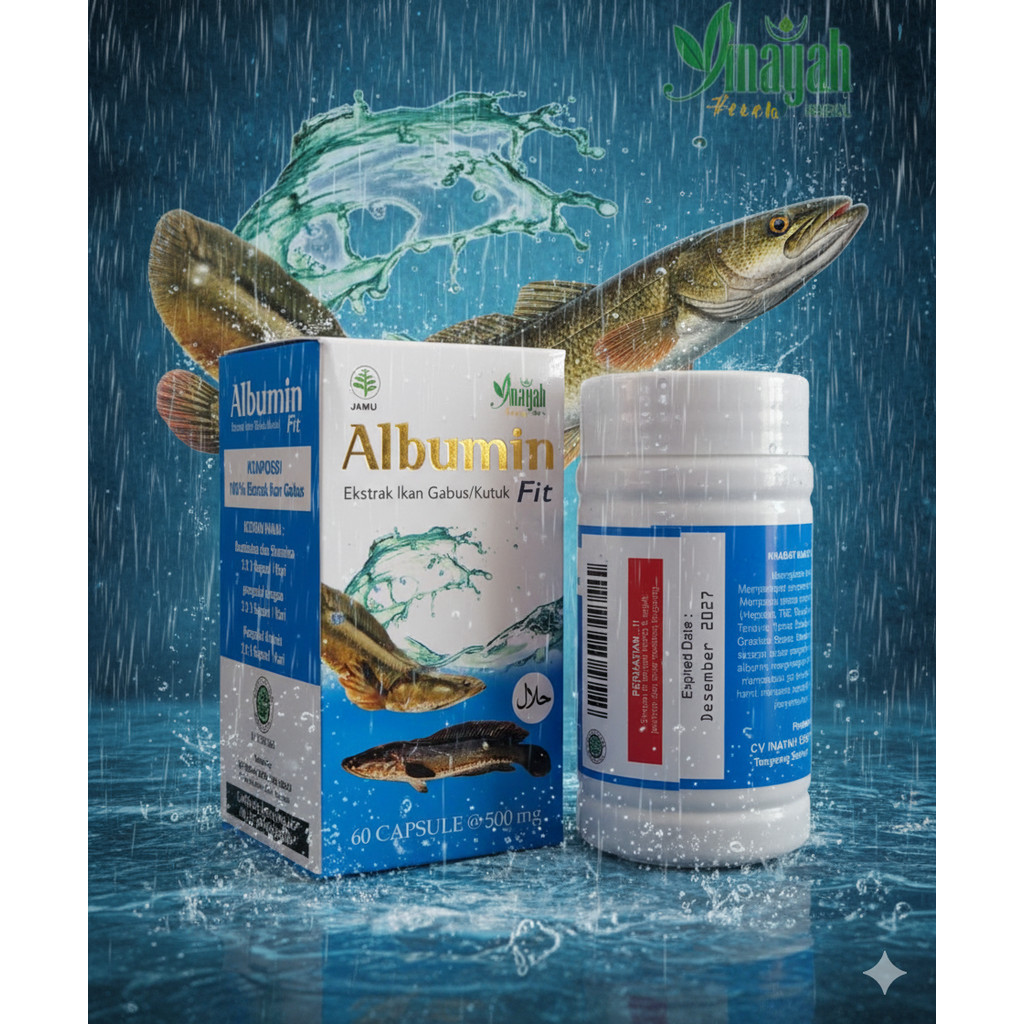 Albumin Fit Kapsul Ekstrak Ikan Gabus 60x500mg || Albumin Fit Obat Pasca Operasi Ekstrak Ikan Gabus 