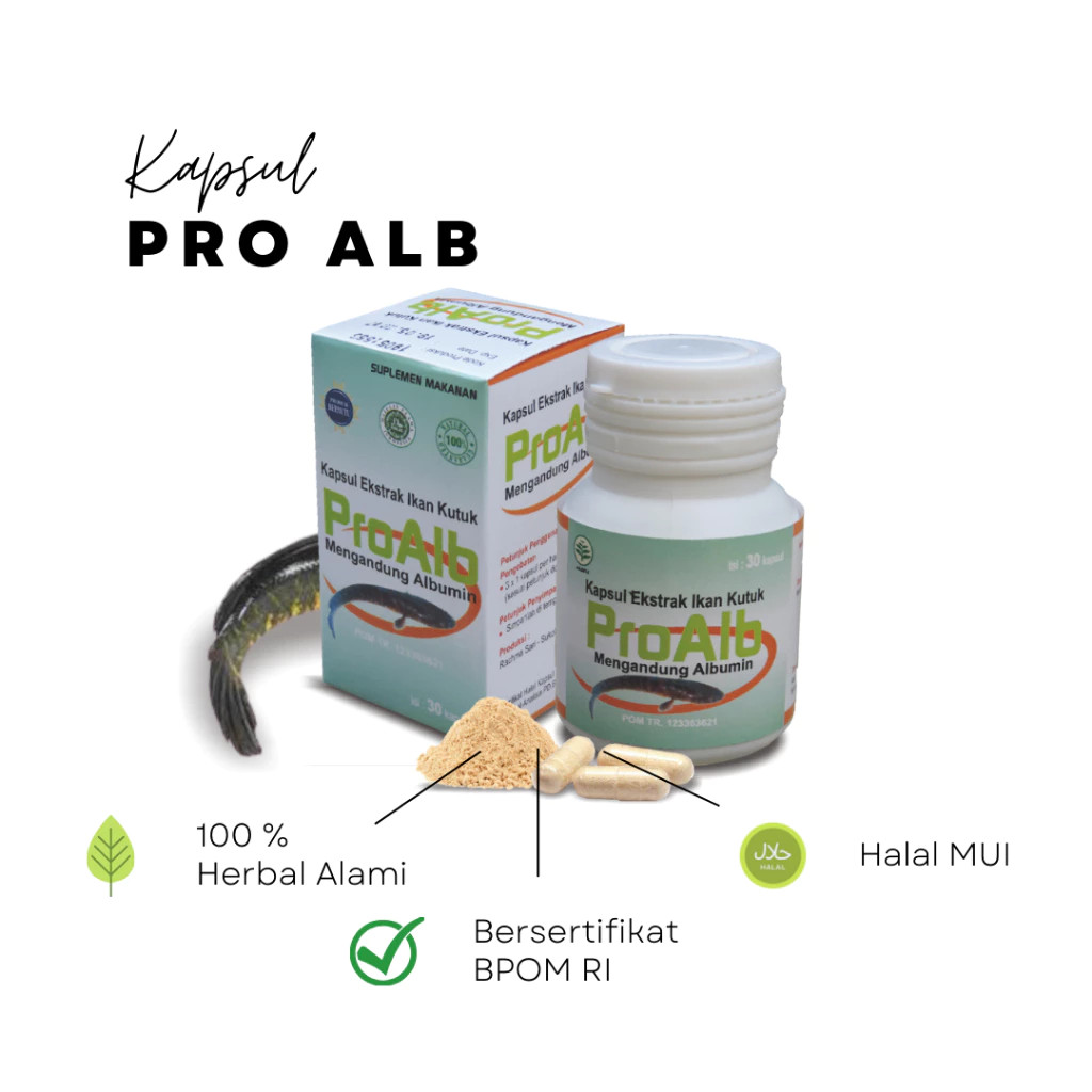 Pro Alb Albumin Ekstrak ikan Kutuk ikan Gabus 30 kapsul  untuk Liver, Diabetes, Gagal Ginjal, Penyem