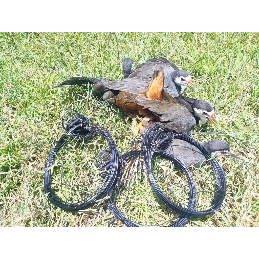 10 METER TALI RACIK KAREO / JEBAKAN JARING BURUNG RUAK2 / 8 meter TALI JERAT PERANGKAP BURUNG SAWAH/