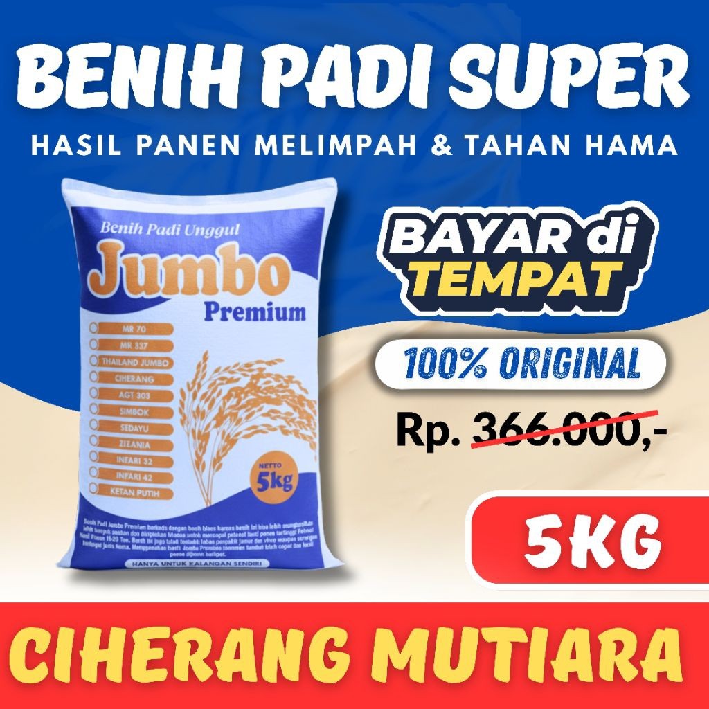 Bibit Padi CIHERANG MUTIARA UNGGUL BERKUALITAS KEMASAN 5 Kg
