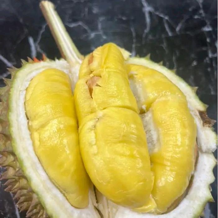 Durian musangking utuh 1,3 kg fresh