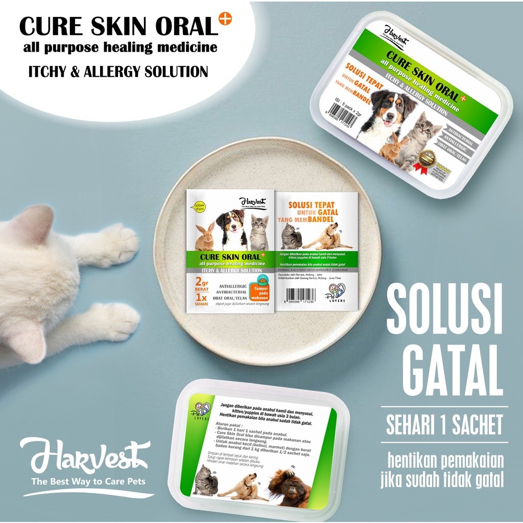 [Oryza Paws] obat jamur kucing anjing ampuh scabies alergi gatal bakteri kuman infeksi - obat minum 